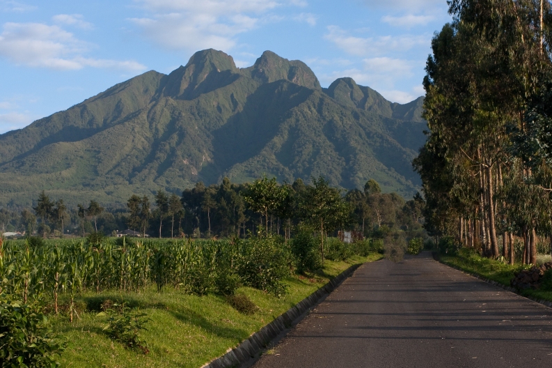 Road-to-rwanda.jpg